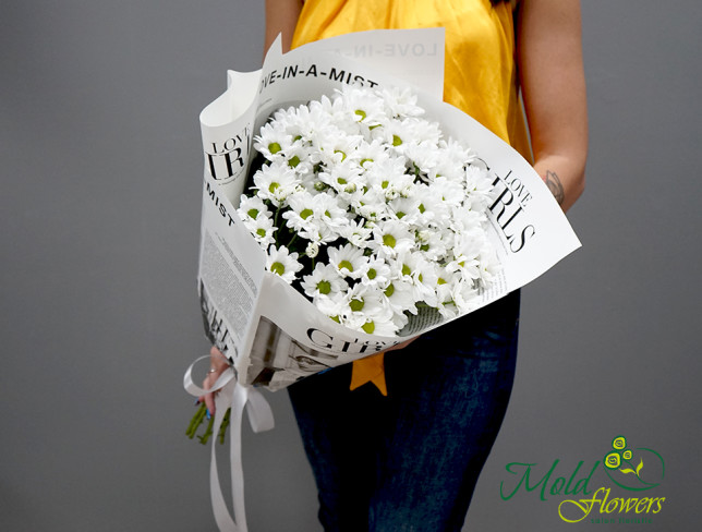 Букет из белой хризантемы Фото